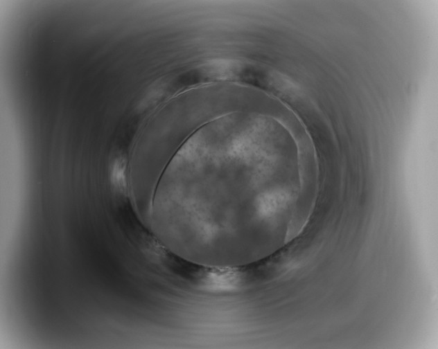 X0000099570720200805301540
