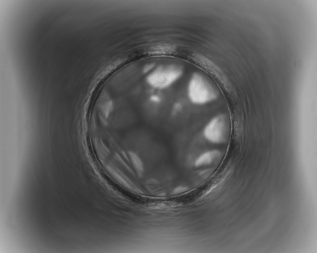 X0000099570721200805301540