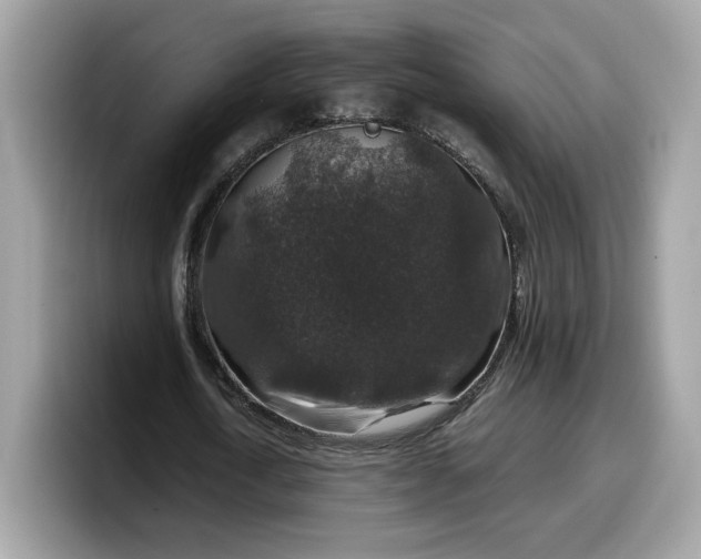 X0000099570722200805301540