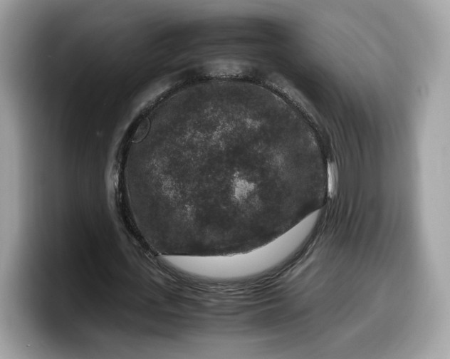 X0000099570723200805301540