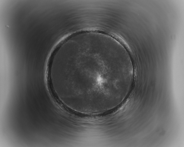 X0000099570724200805301540