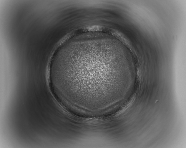 X0000099570725200805301540