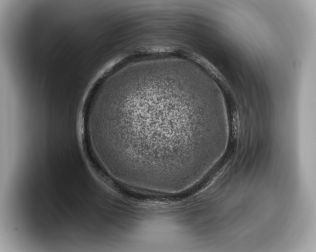 X0000099570726200805301540