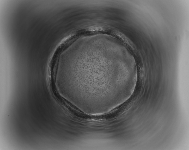 X0000099570727200805301540