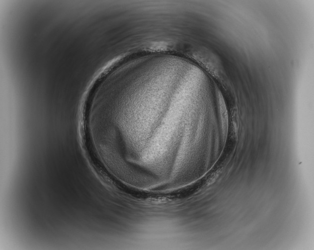 X0000099570728200805301540