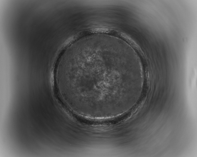 X0000099570729200805301540
