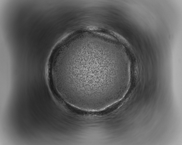 X0000099570730200805301540