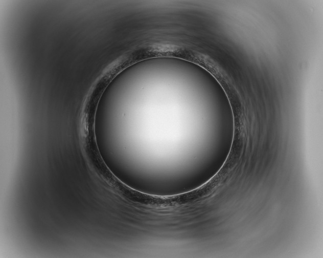 X0000099570731200805301540