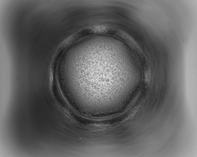 X0000099570733200805301540