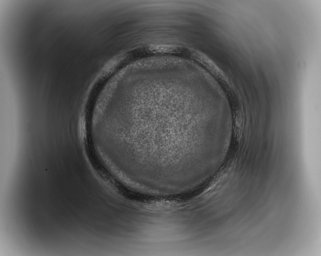 X0000099570734200805301540
