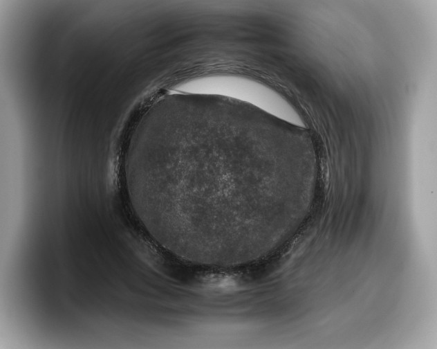 X0000099570735200805301540