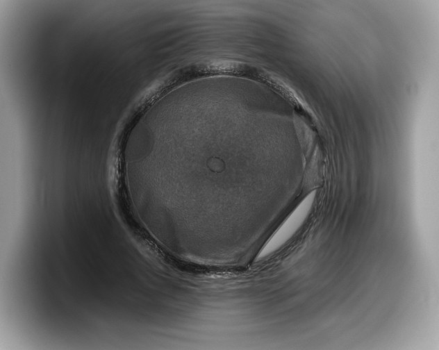 X0000099570736200805301540