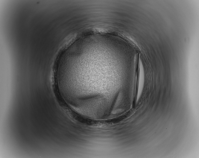 X0000099570738200805301540