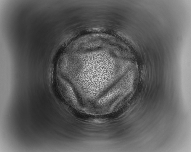 X0000099570739200805301540