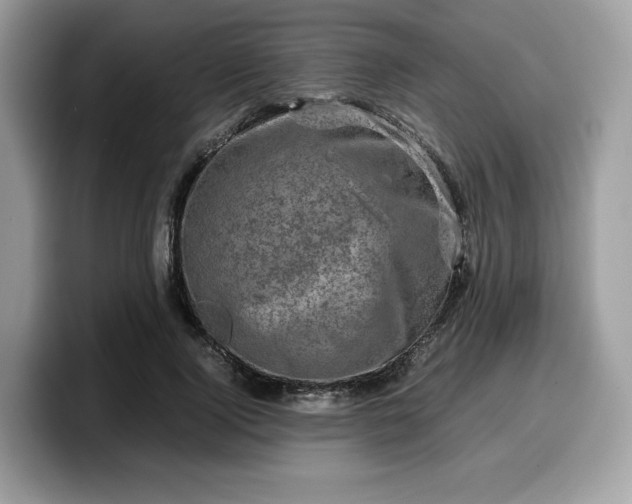 X0000099570740200805301540