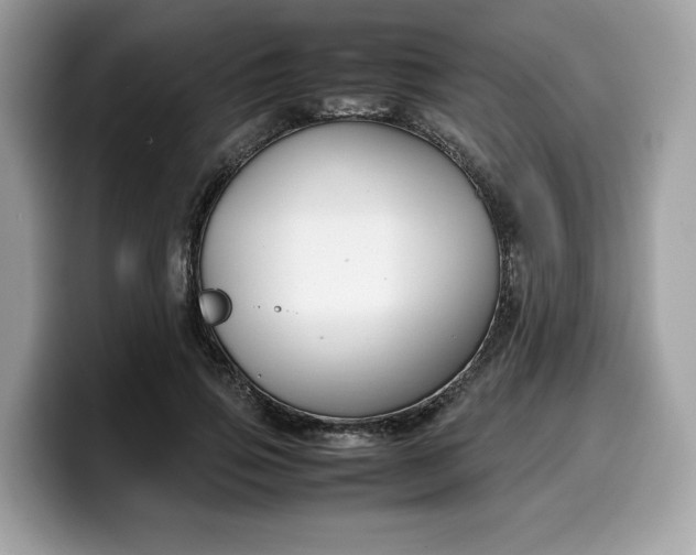 X0000099570741200805301540