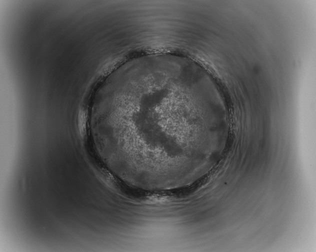 X0000099570742200805301540