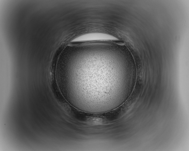 X0000099570743200805301540