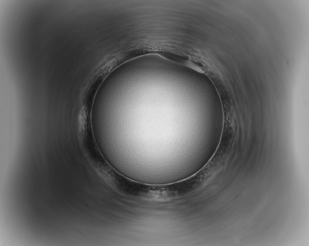 X0000099570744200805301540