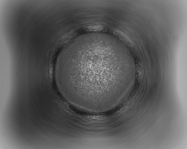 X0000099570745200805301540