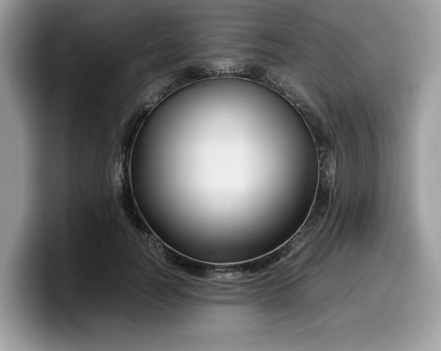 X0000099570746200805301540