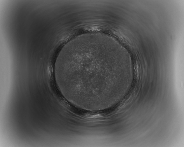 X0000099570747200805301540