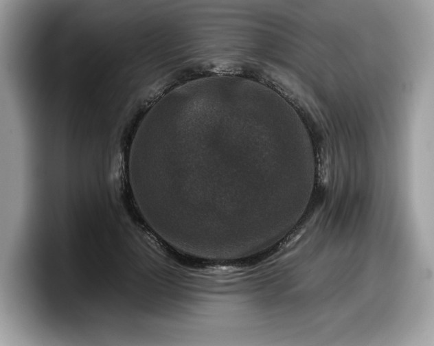 X0000099570748200805301540