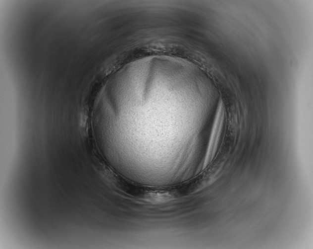 X0000099570749200805301540
