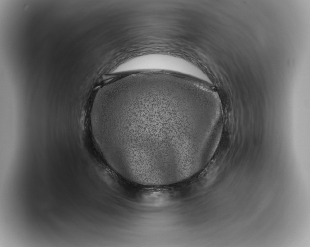 X0000099570750200805301540