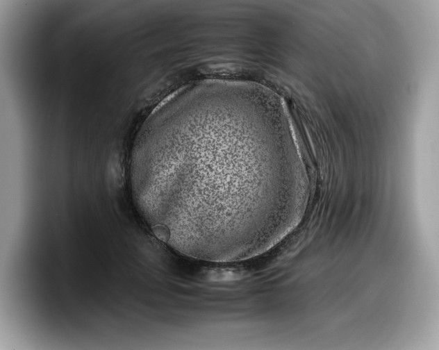 X0000099570751200805301540