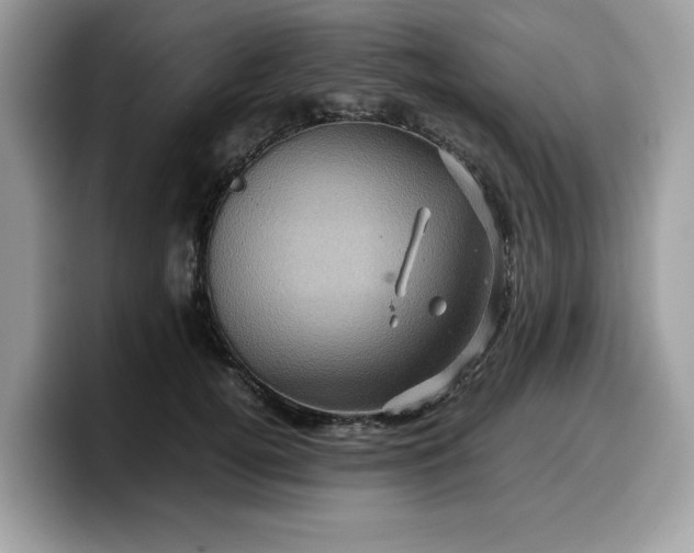 X0000099570752200805301540