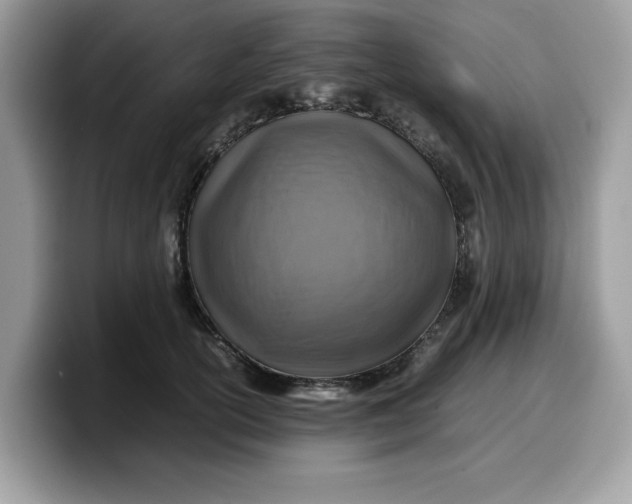 X0000099570754200805301540