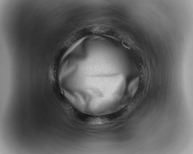 X0000099570755200805301540