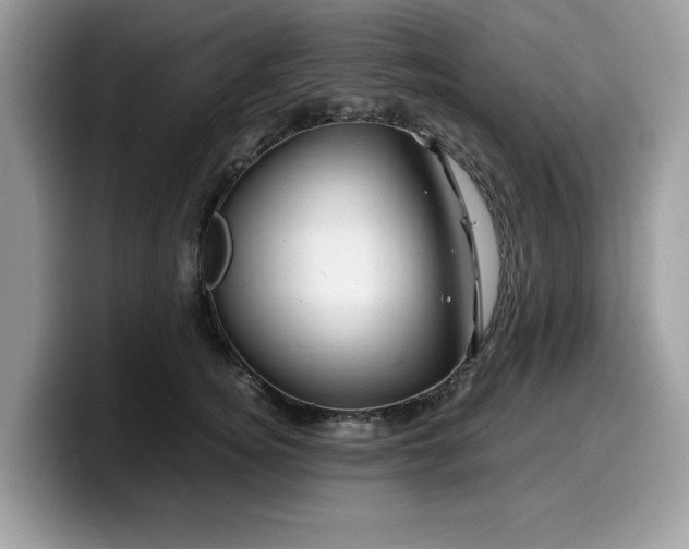 X0000099570756200805301540