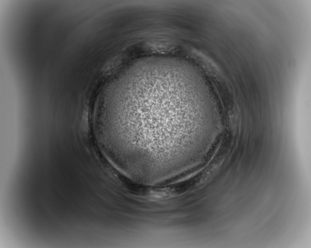 X0000099570757200805301540