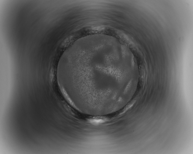 X0000099570758200805301540
