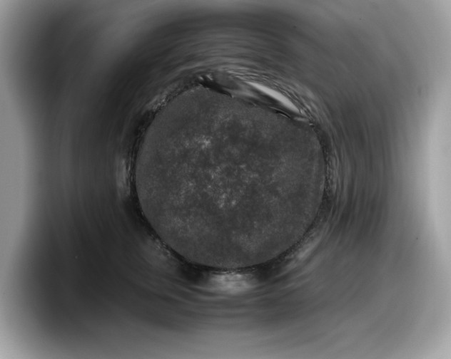 X0000099570759200805301540