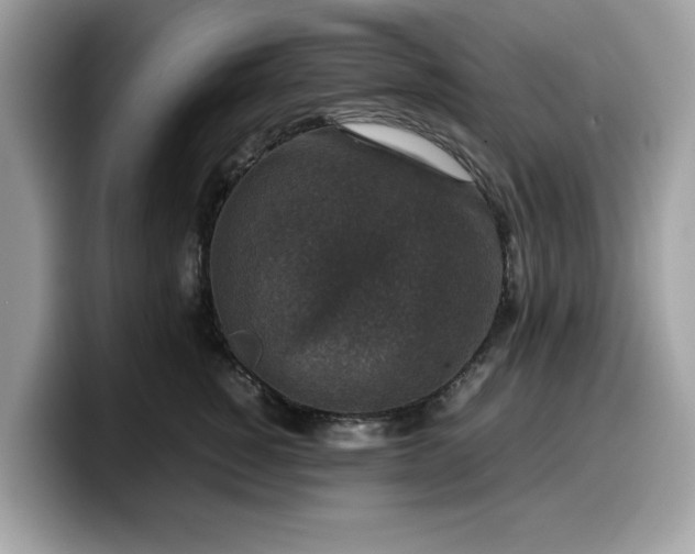 X0000099570760200805301540