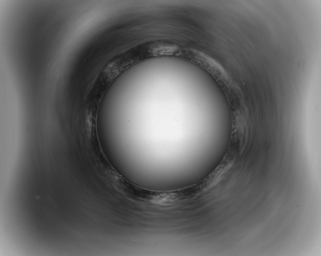 X0000099570761200805301540