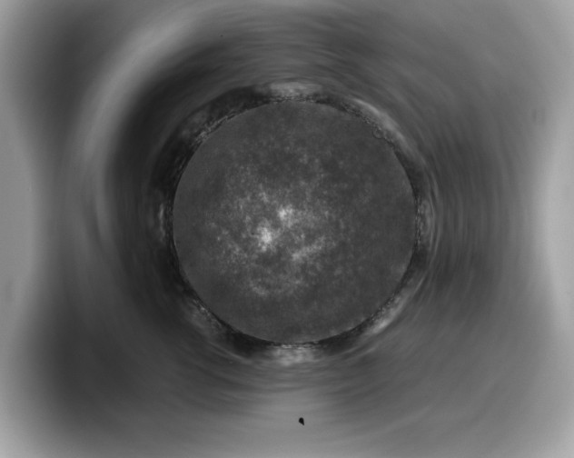 X0000099570762200805301540