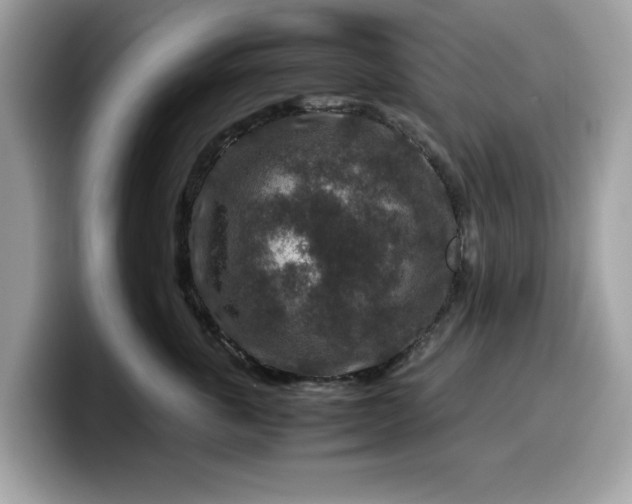 X0000099570763200805301540