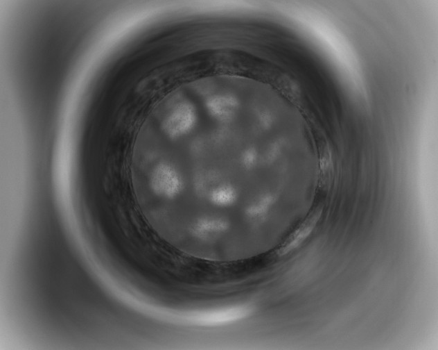 X0000099570765200805301540