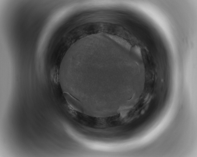 X0000099570766200805301540