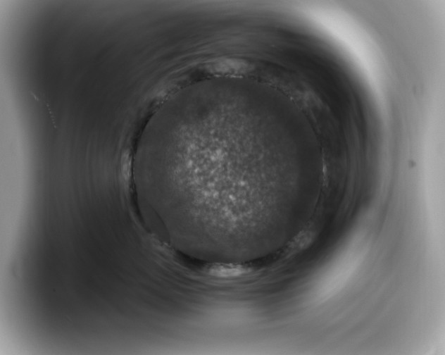 X0000099570767200805301540