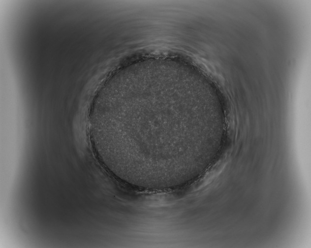 X0000099570769200805301540