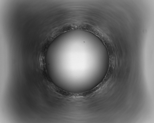 X0000099570770200805301540
