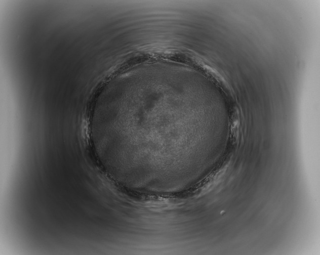 X0000099570772200805301540