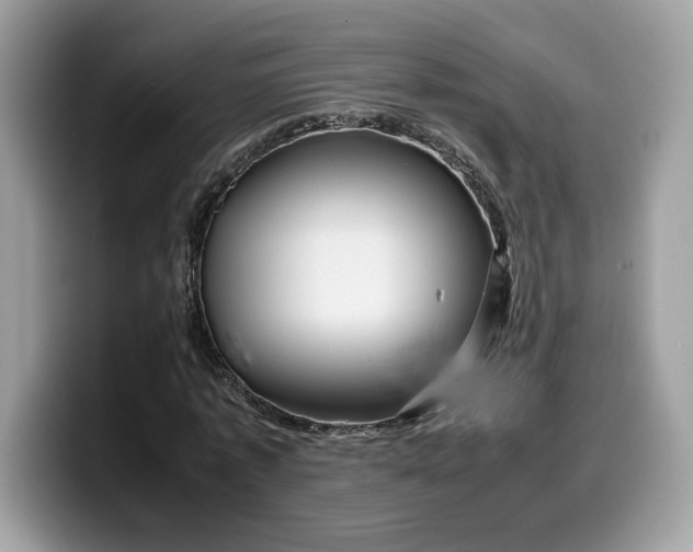 X0000099570773200805301540