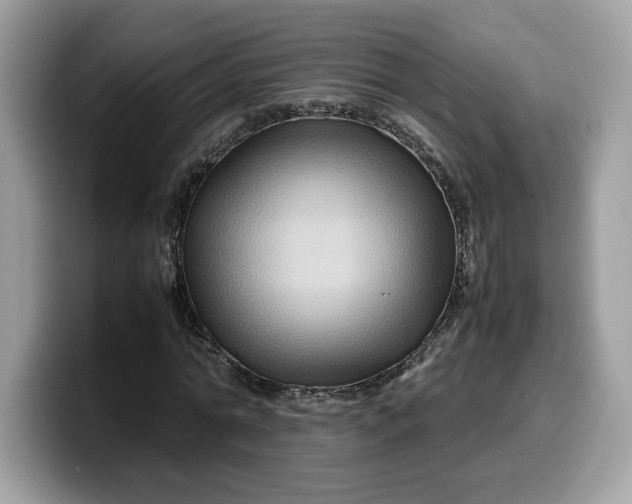 X0000099570774200805301540