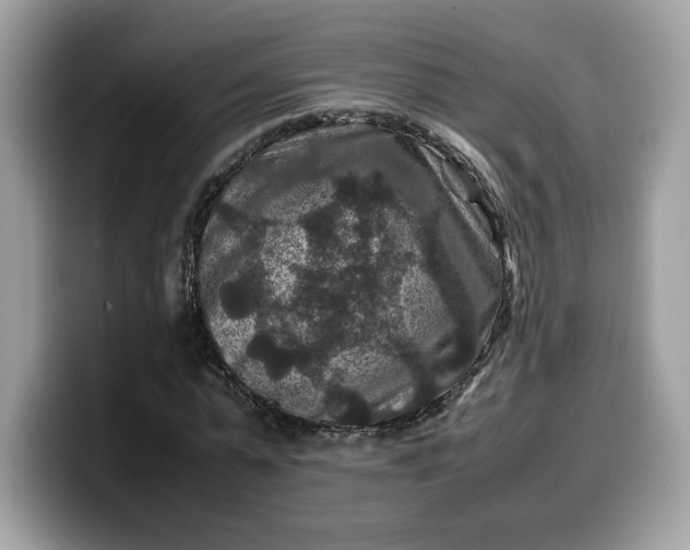 X0000099570775200805301540